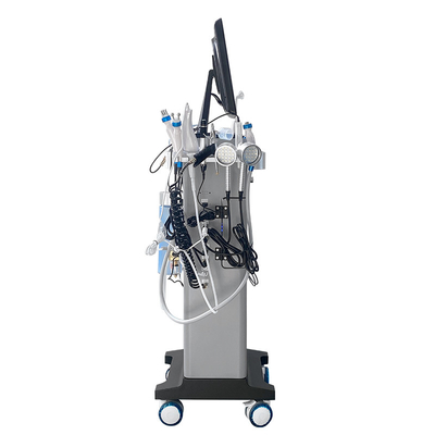 15 In 1 Hydra Dermabrasion Aqua Facial Vacuum Black Head Removal Mesin Hydro Microdermabrasion