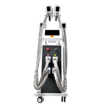 Mesin Pelangsing Cryolipolysis Beku Lemak  800W OEM