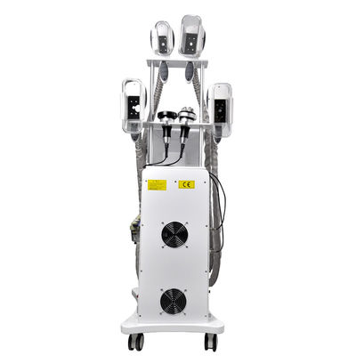 Mesin Pelangsing Cryolipolysis Beku Lemak  800W OEM