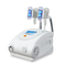 Portable Cryolipolysis Slimming Freezefats Machine 1500W Untuk Perawatan Tubuh