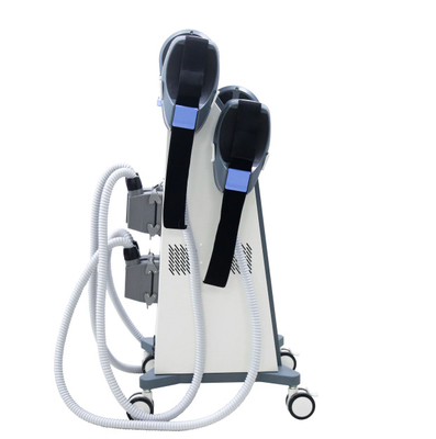 Neo Rf Two Handle EMS Muscle Stimulator, Mesin