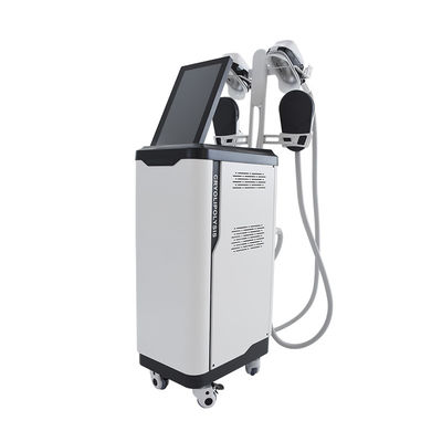 Salon Gunakan Cryolipolysis  NEO Sculpting Slimming Machine vertikal