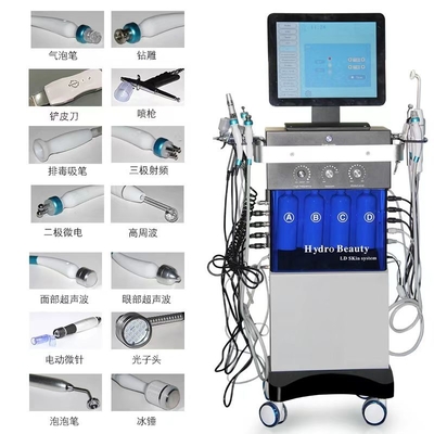 14 in 1 Hydrofacial dermabrasion besar gelembung semprotan oksigen wajah dipimpin mesin peremajaan kulit