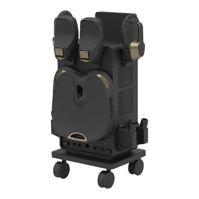 Mesin Bentuk Tubuh  Dengan RF  4 Genggam Dengan Bantal