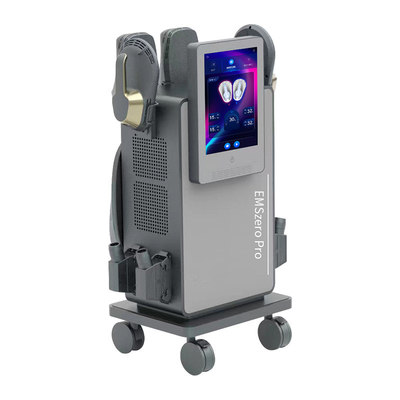 Mesin Bentuk Tubuh EMS Dengan RF EMS 4 Genggam Dengan Bantal