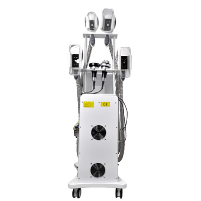 Mesin cryolipolysis 360 untuk mesin pembekuan lemak cepat pelangsing
