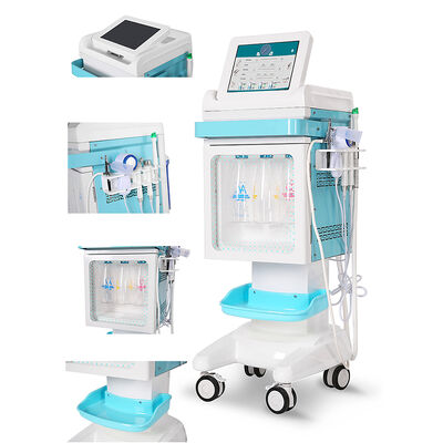 Mesin Hydro Oxygen Facial – Operasi Mudah untuk Salon & Pusat SPA Pembersihan Mendalam + Peremajaan Oksigen Mesin pembersih wajah 2 in 1