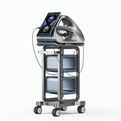 Perangkat Kecantikan HIFU12D MAX Ultrasound Terfokus Intensitas Tinggi Multi-Frekuensi Perlindungan Kriogenik Anti-Penuaan Pengencangan & Pengangkatan Wajah Pembentukan Tubuh & Pelarutan Lemak