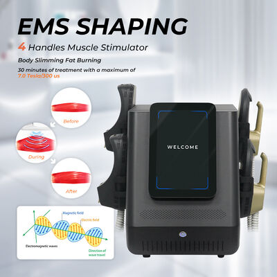 Portable EMS Body Sculpting Machine dengan 2800W Output Power layar 12 inci dan EMSlim Technology untuk Stimulasi Otot