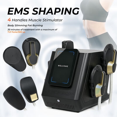 Portable EMS Body Sculpting Machine dengan 2800W Output Power layar 12 inci dan EMSlim Technology untuk Stimulasi Otot
