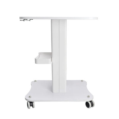 Gerobak Troli Salon Kecantikan Dengan Roda Mesin Kecantikan Rolling Stand Trolley Untuk Peralatan Salon Spa